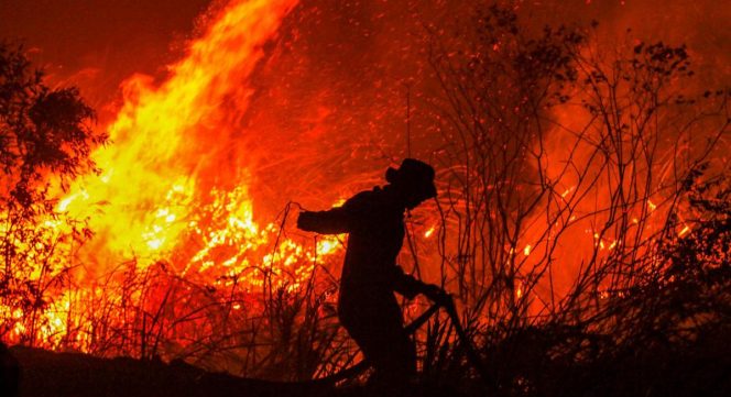 
					Ilustrasi kebakaran hutan dan lahan. (Foto: Net)