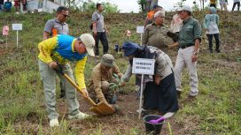 Gubernur Bengkulu Rohidin Mersyah saat melakukan penanam pohon. (Foto: Dok) 