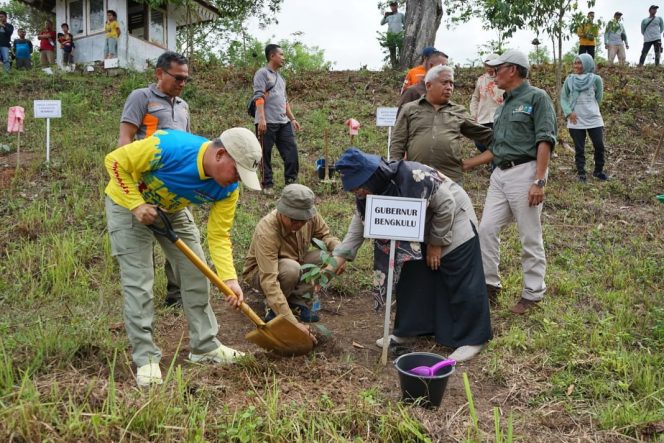 
					Gubernur Bengkulu Rohidin Mersyah saat melakukan penanam pohon. (Foto: Dok) 